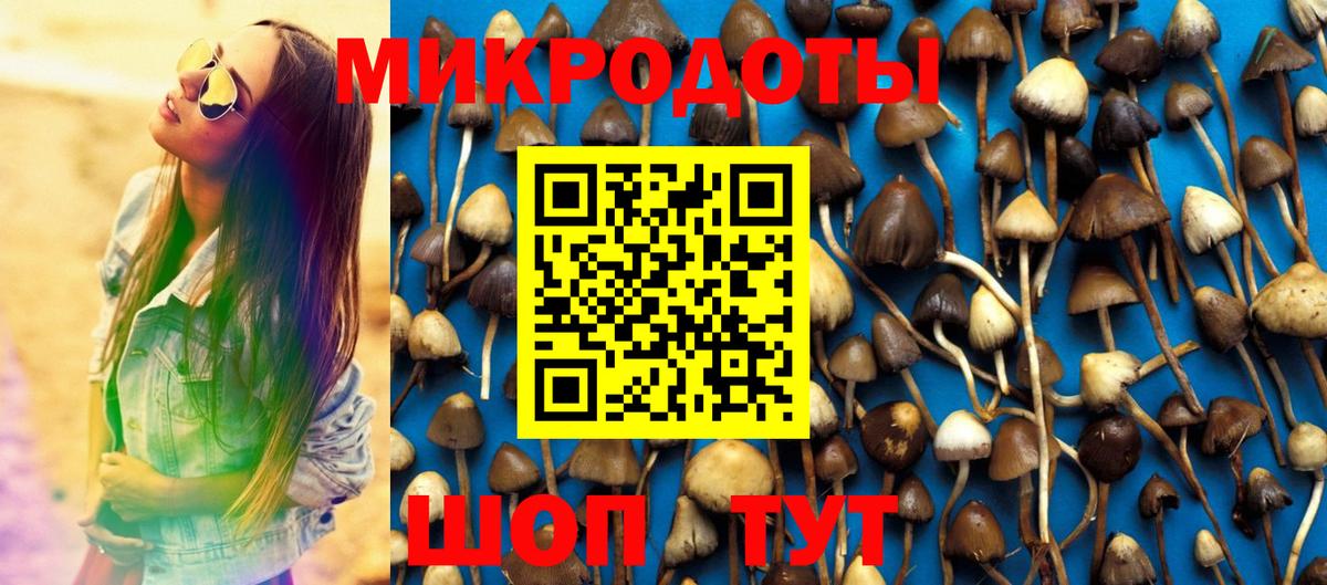 Галлюциногенные грибы Psilocybine cubensis Сертолово