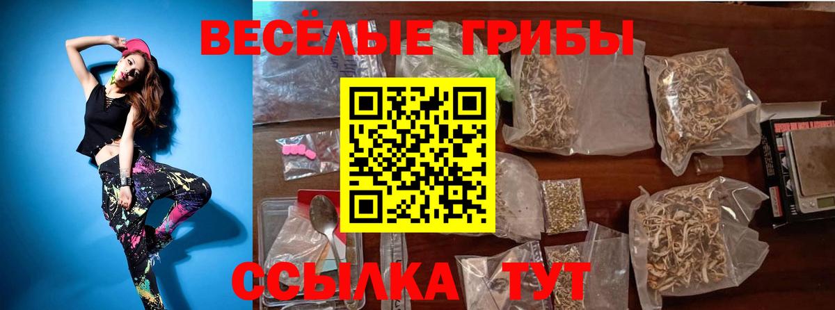 Сертолово  Псилоцибиновые грибы мицелий  Вход с VPN 